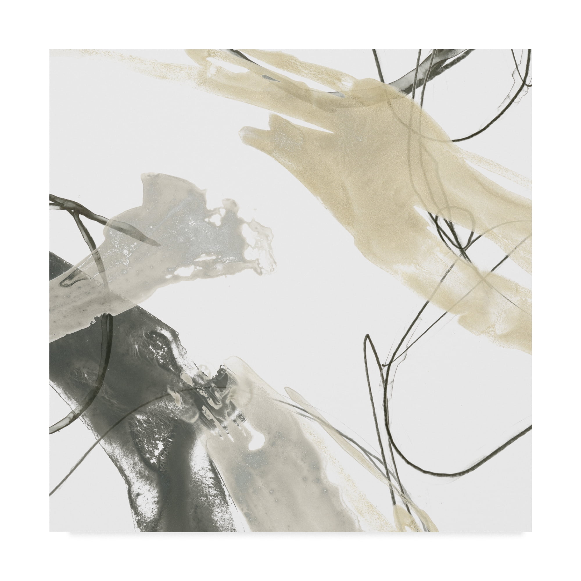 Trademark Fine Art 'Monochrome Momentum IV' Canvas Art by June Erica Vess