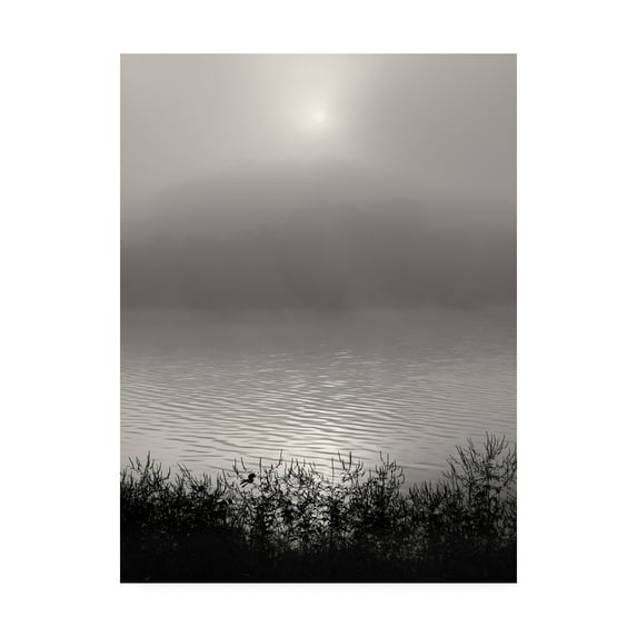 Trademark Fine Art 'Monochrome Sunrise' Canvas Art by Nicholas Bel