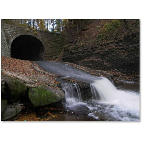 Trademark Fine Art "Monotonous Beauty" Canvas Art by Monica Fleet