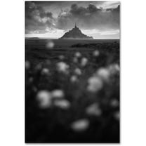 Trademark Fine Art "Mont Saint Michel" Canvas Art by Mathieu Rivrin
