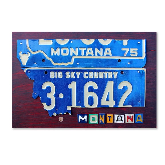 Trademark Fine Art 'Montana' Canvas Art by Design Turnpike
