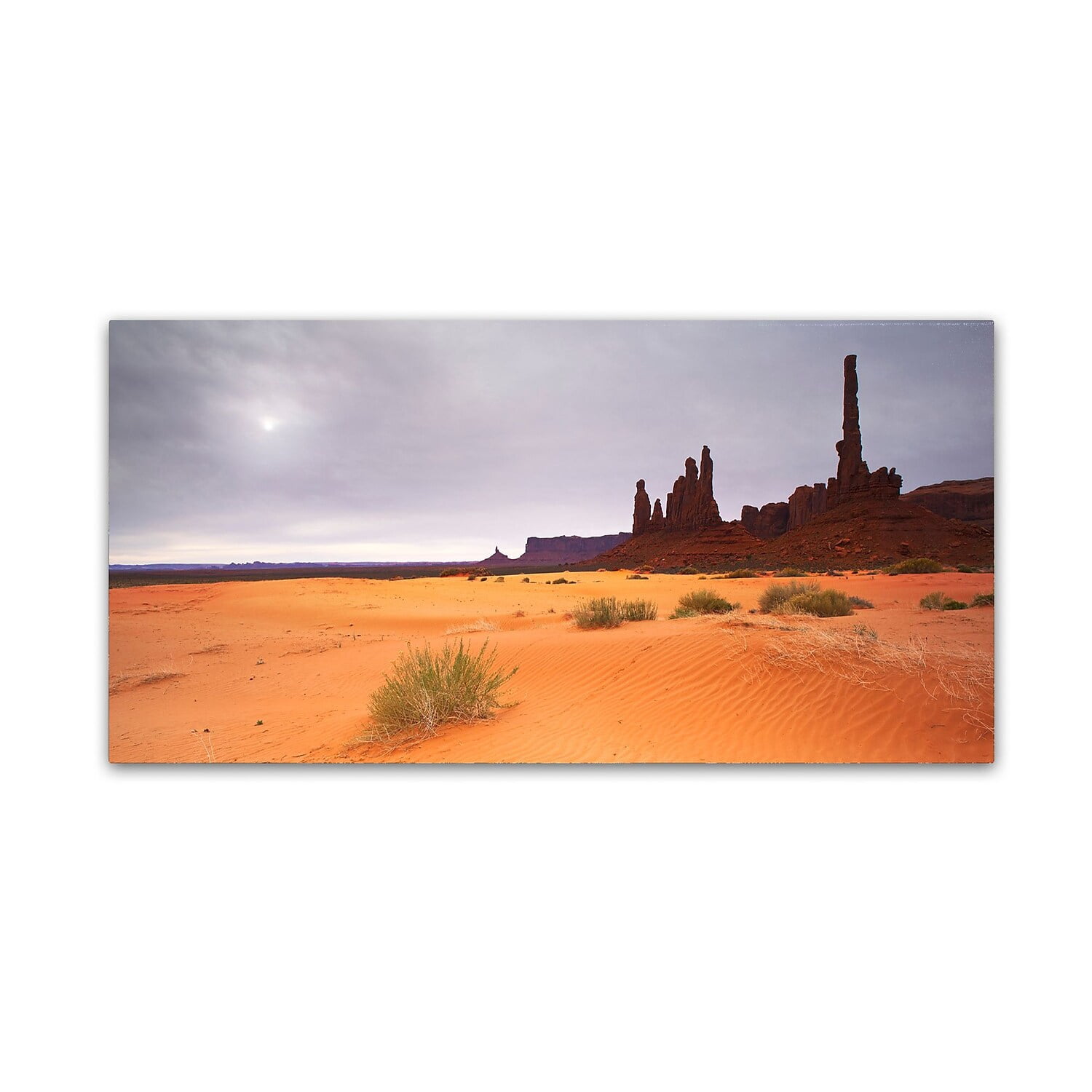 Trademark Fine Art "Monument Valley Panorama I" Canvas Art by Moises Levy