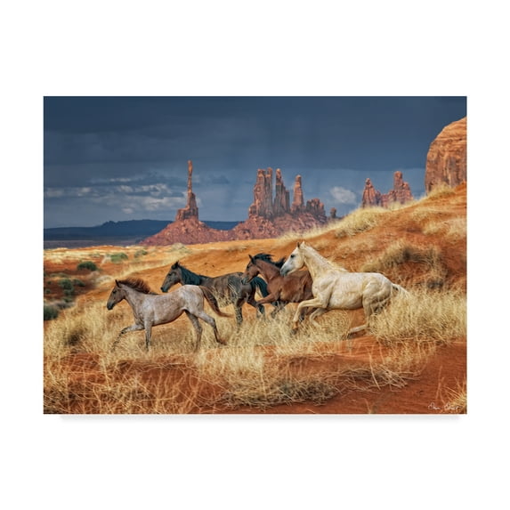 Trademark Fine Art 'Monumental Run' Canvas Art by David Drost
