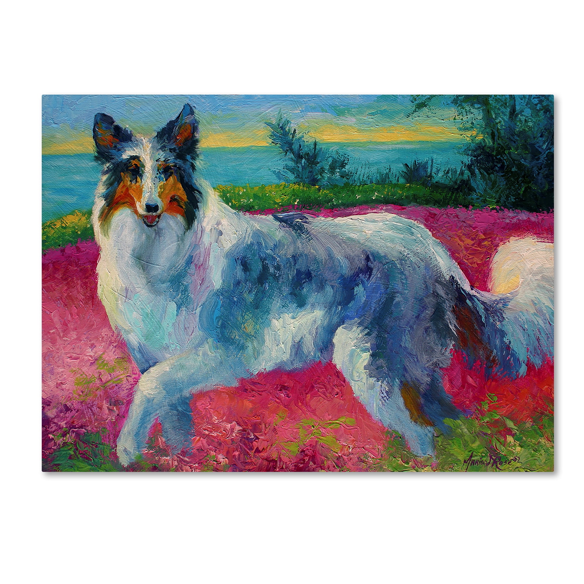 Trademark Fine Art 'Mony Collie' Canvas Art by Marion Rose