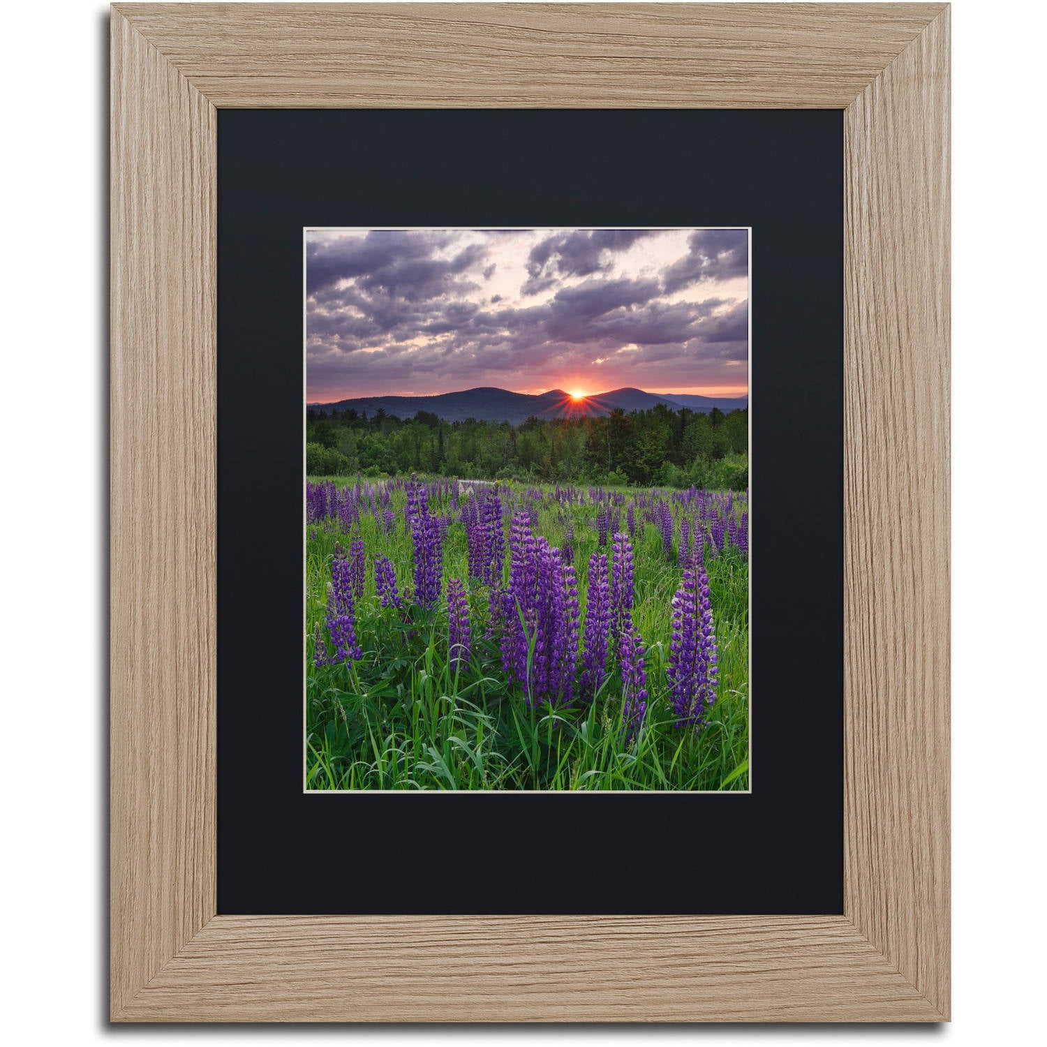 Trademark Fine Art "Moody Sunrise" Canvas Art by Michael Blanchette Photography Black Matte, Birch Frame