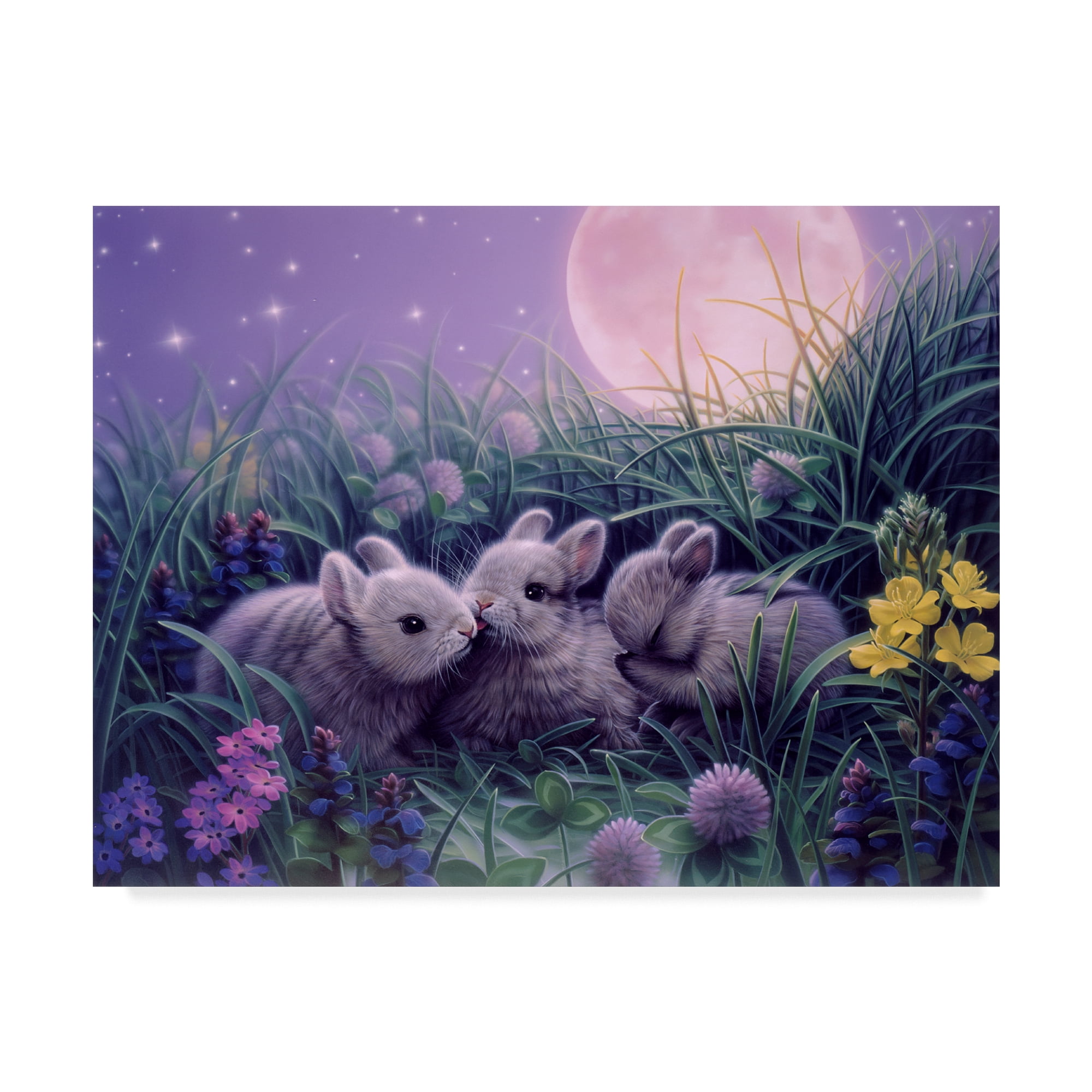 Trademark Fine Art 'Moon Babies' Canvas Art by Kirk Reinert
