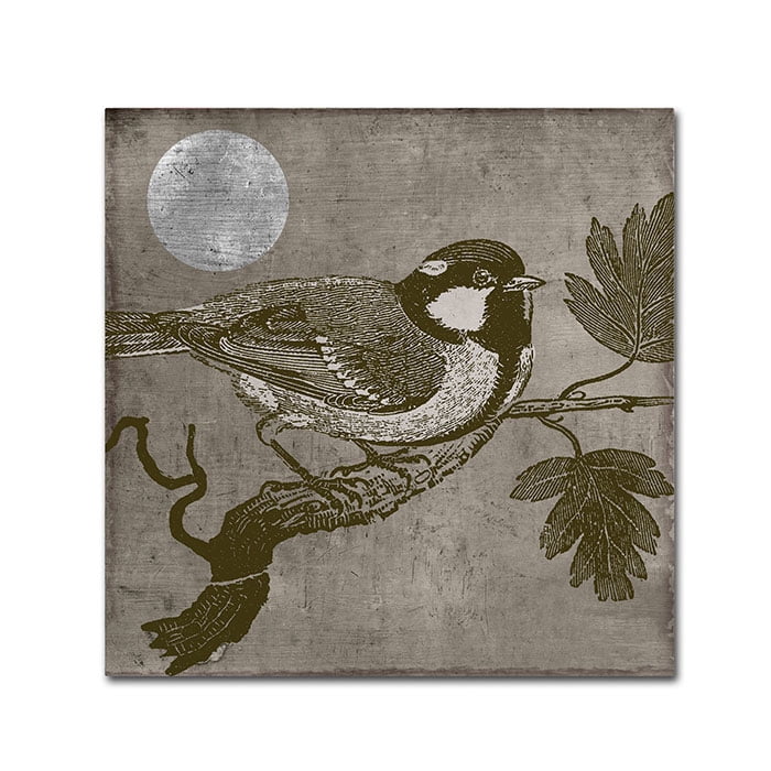 Trademark Fine Art "Moon Bird" Canvas Art by Color Bakery