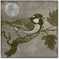 Trademark Fine Art "Moon Bird" Canvas Art by Color Bakery