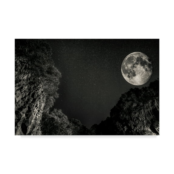Trademark Fine Art 'Moon In Black' Canvas Art by Giuseppe Torre