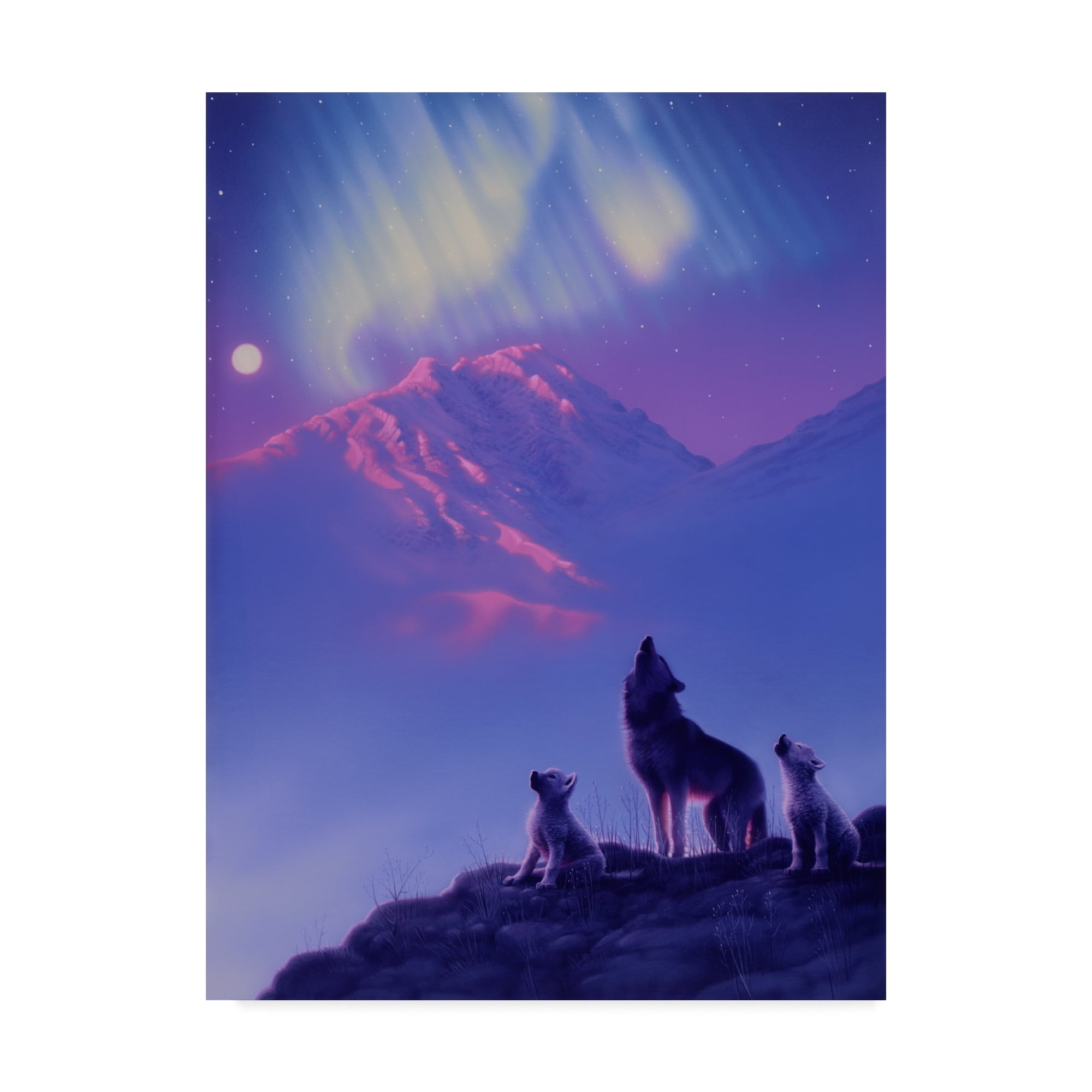 Trademark Fine Art 'Moon Song' Canvas Art by Kirk Reinert