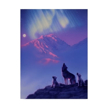 Trademark Fine Art 'Moon Song' Canvas Art by Kirk Reinert