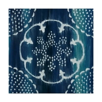 Trademark Fine Art 'Moonbeam I' Canvas Art by Chariklia Zarris