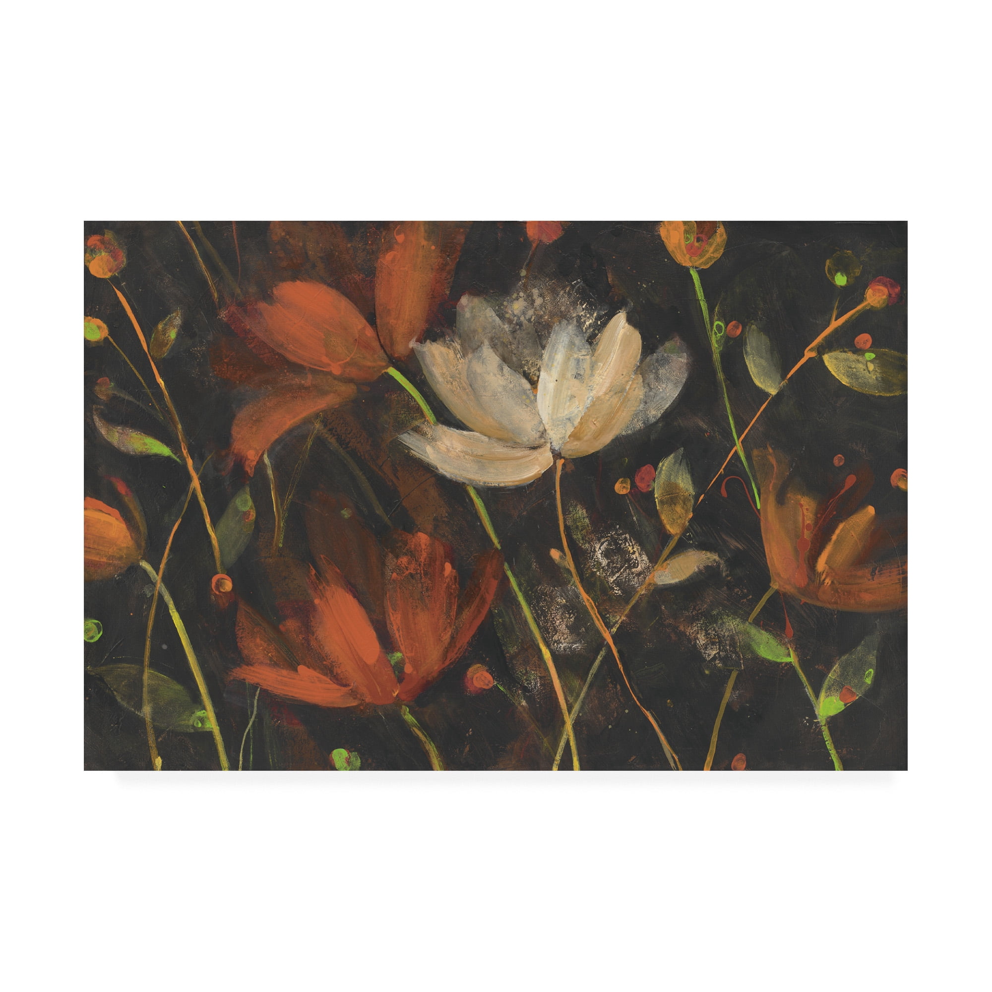 Trademark Fine Art 'Moonlight Garden I Spice Floral' Canvas Art by Albena Hristova