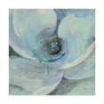 thumbnail image 1 of Trademark Fine Art 'Moonlight Magnolia I' Canvas Art by Albena Hristova, 1 of 4