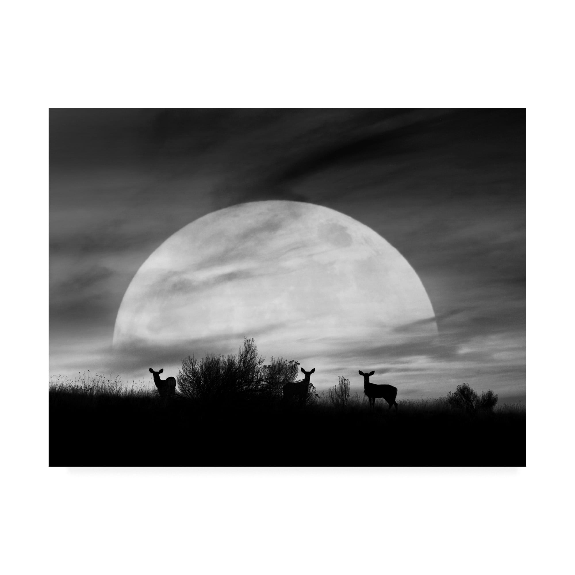 Trademark Fine Art 'Moonlight Silhouette Farmington Hills Michigan' Canvas Art by Monte Nagler