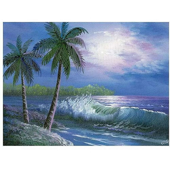 Trademark Fine Art "Moonlight in Key Largo" Canvas Art