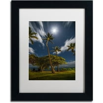 Trademark Fine Art 'Moonlit Palm Trees' Canvas Art by Pierre Leclerc, White Matte, Black Frame