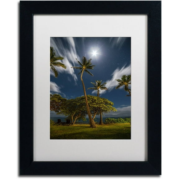 Trademark Fine Art 'Moonlit Palm Trees' Canvas Art by Pierre Leclerc, White Matte, Black Frame