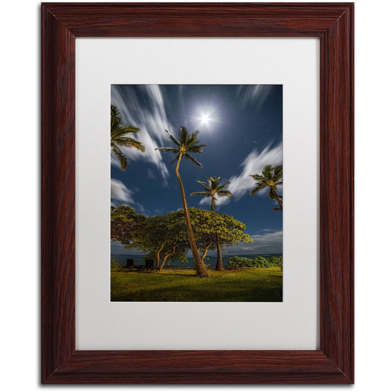 Trademark Fine Art 'Moonlit Palm Trees' Canvas Art by Pierre Leclerc, White Matte, Wood Frame