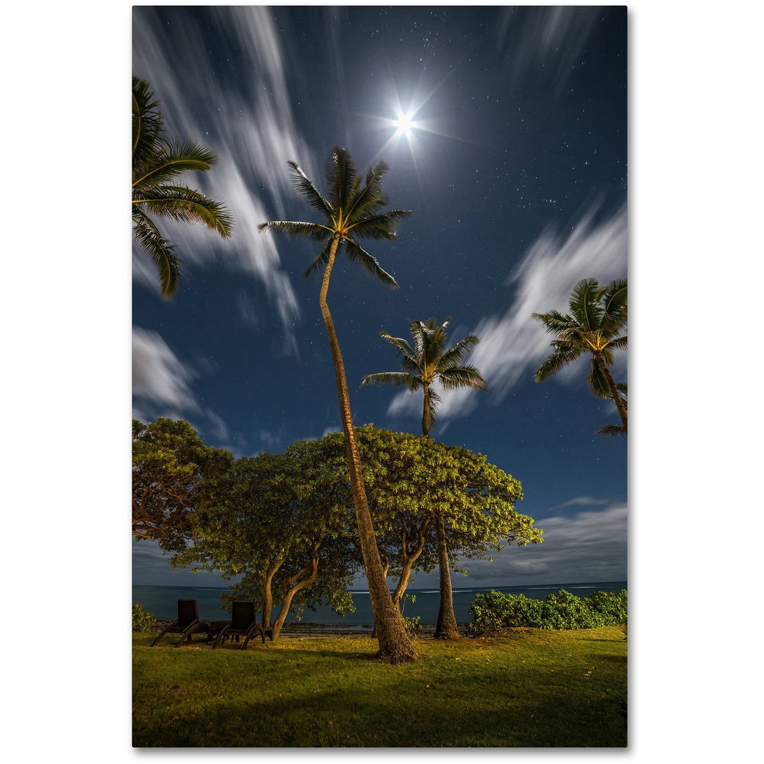Gold Framed Moonlit Palm Trees Landscape Canvas Art