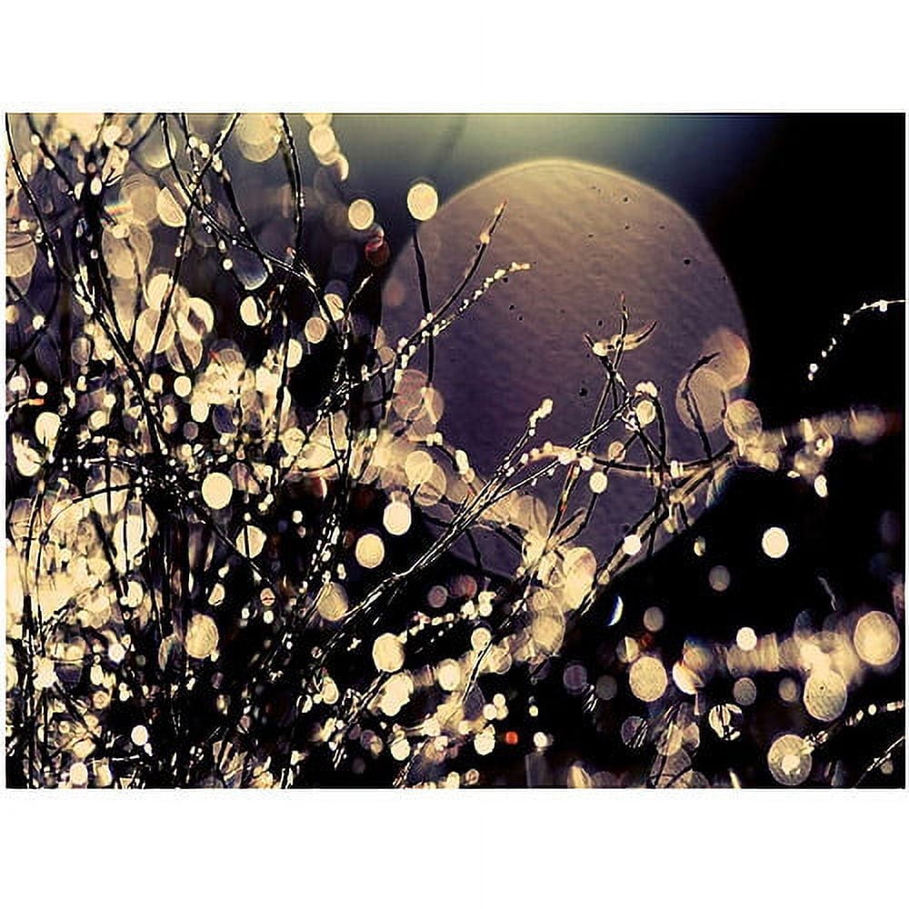 Beata Czyzowska Young 'Moonrise in Fairyland' Canvas Art