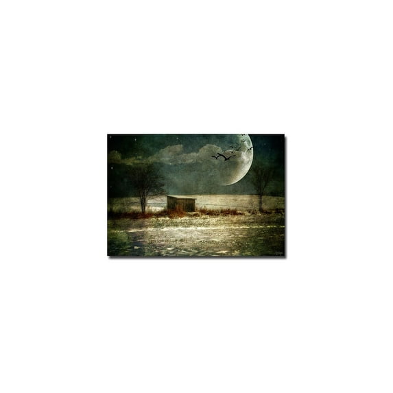 Trademark Fine Art "Moonstruck" Canvas Art by Lois Bryan