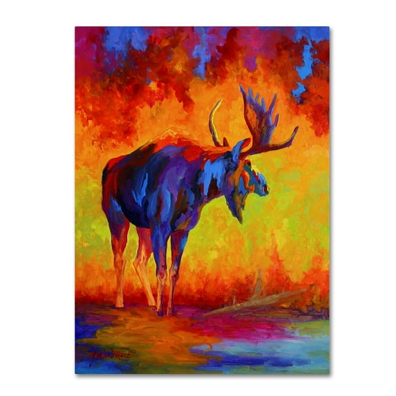 Trademark Fine Art 'Moose 5' Canvas Art by Marion Rose