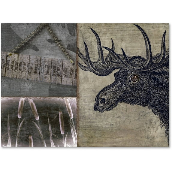 Trademark Fine Art "Moose" Canvas Art by Color Bakery