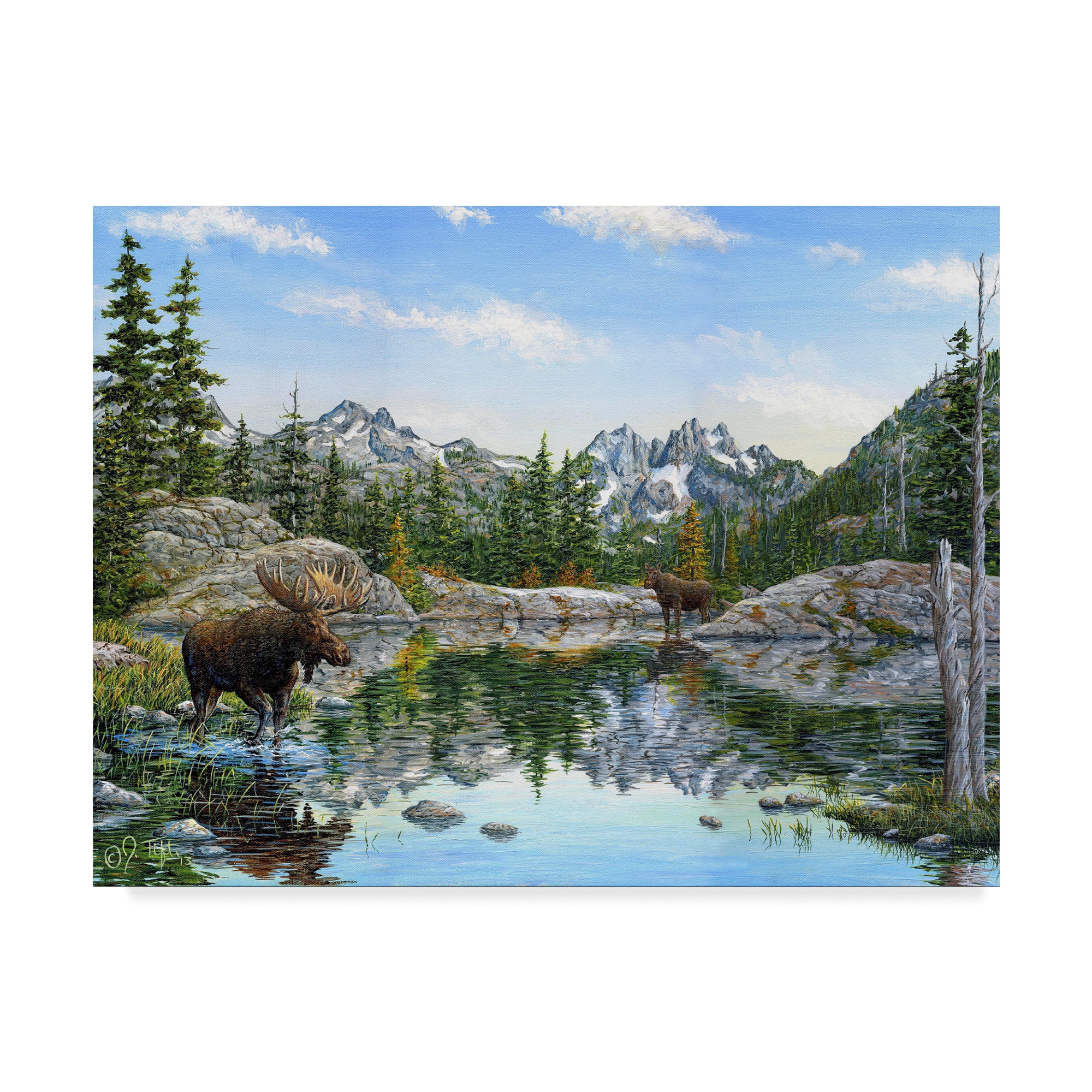 Trademark Fine Art 'Moose' Canvas Art by Jeff Tift