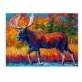 thumbnail image 1 of Trademark Fine Art 'Moose Encounter' Canvas Art by Marion Rose, 1 of 3