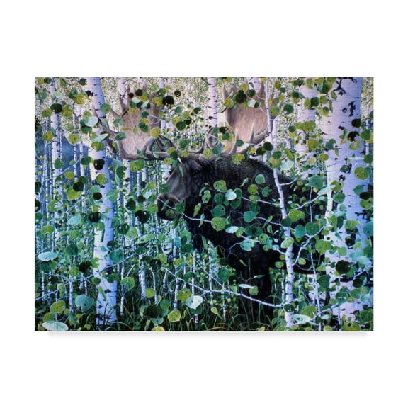 Trademark Fine Art 'Moose Hiding' Canvas Art by Jeff Tift