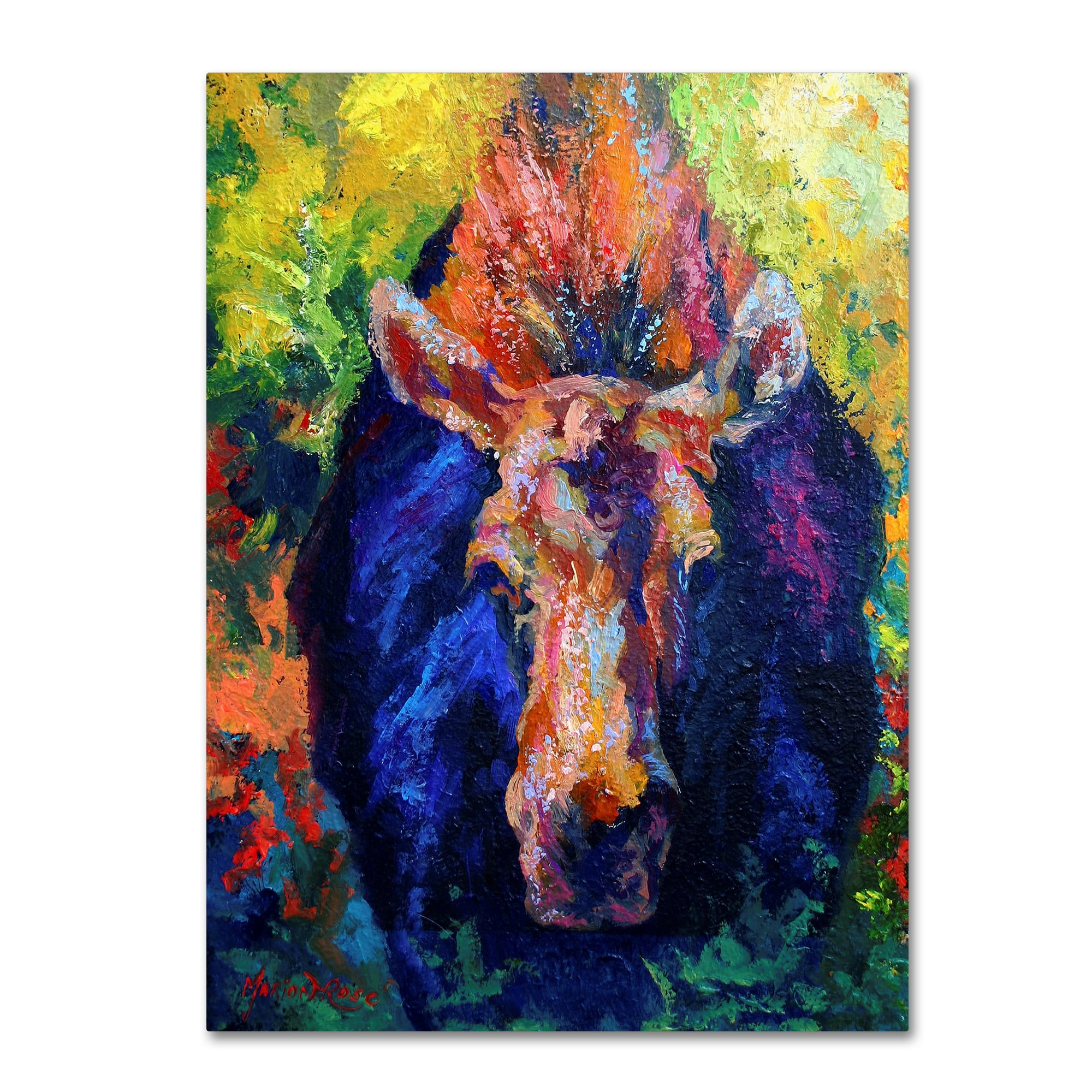 Trademark Fine Art 'Moose II 4' Canvas Art by Marion Rose