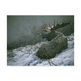 thumbnail image 1 of Trademark Fine Art 'Moose In The Brush' Canvas Art by Ron Parker, 1 of 3