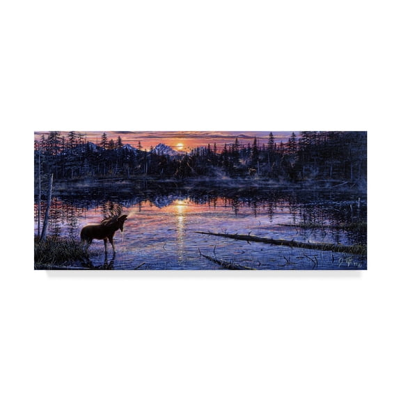 Trademark Fine Art 'Moose Lake' Canvas Art by Jeff Tift