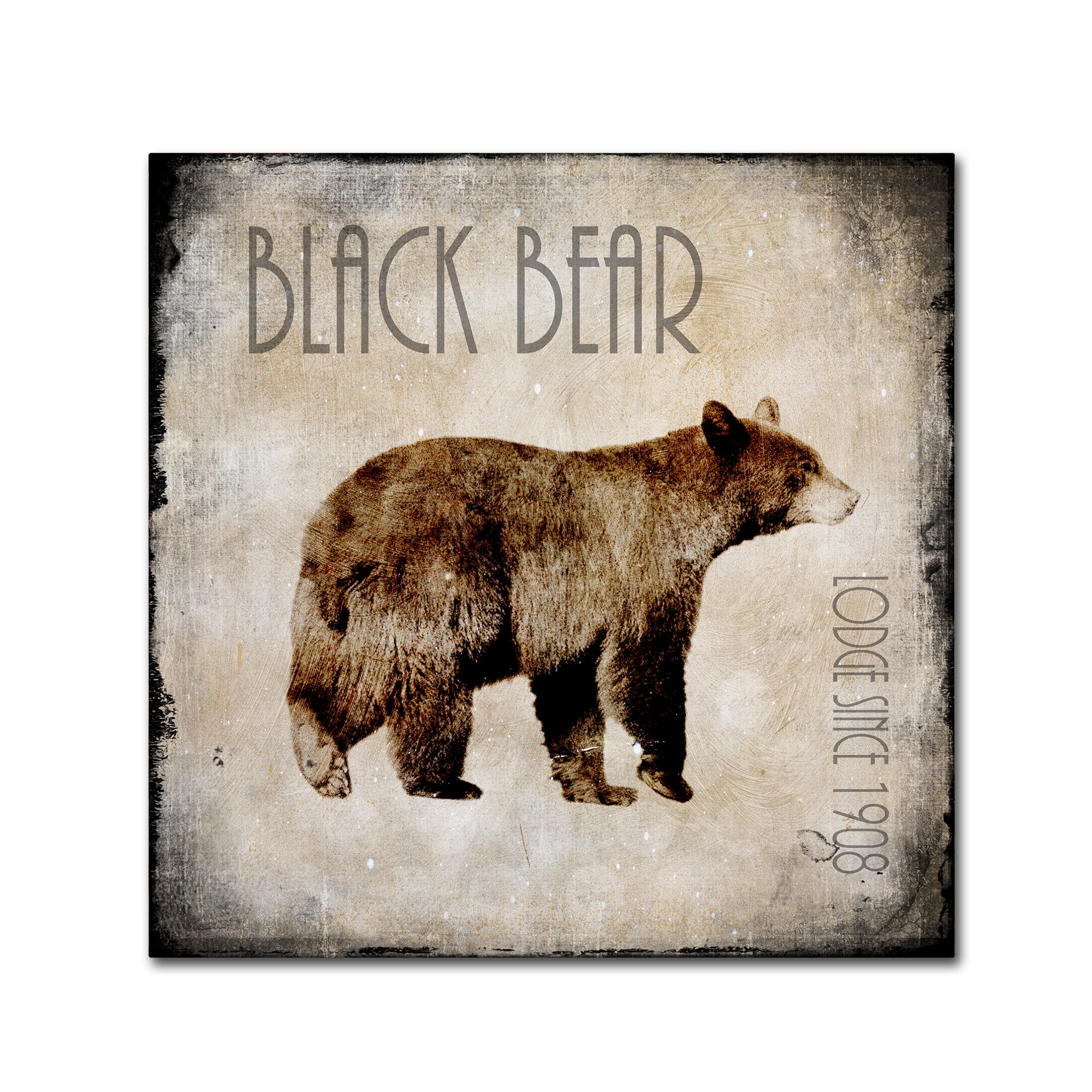 Trademark Fine Art 'Moose Lodge 2 - Black Bear' Canvas Art by LightBoxJournal