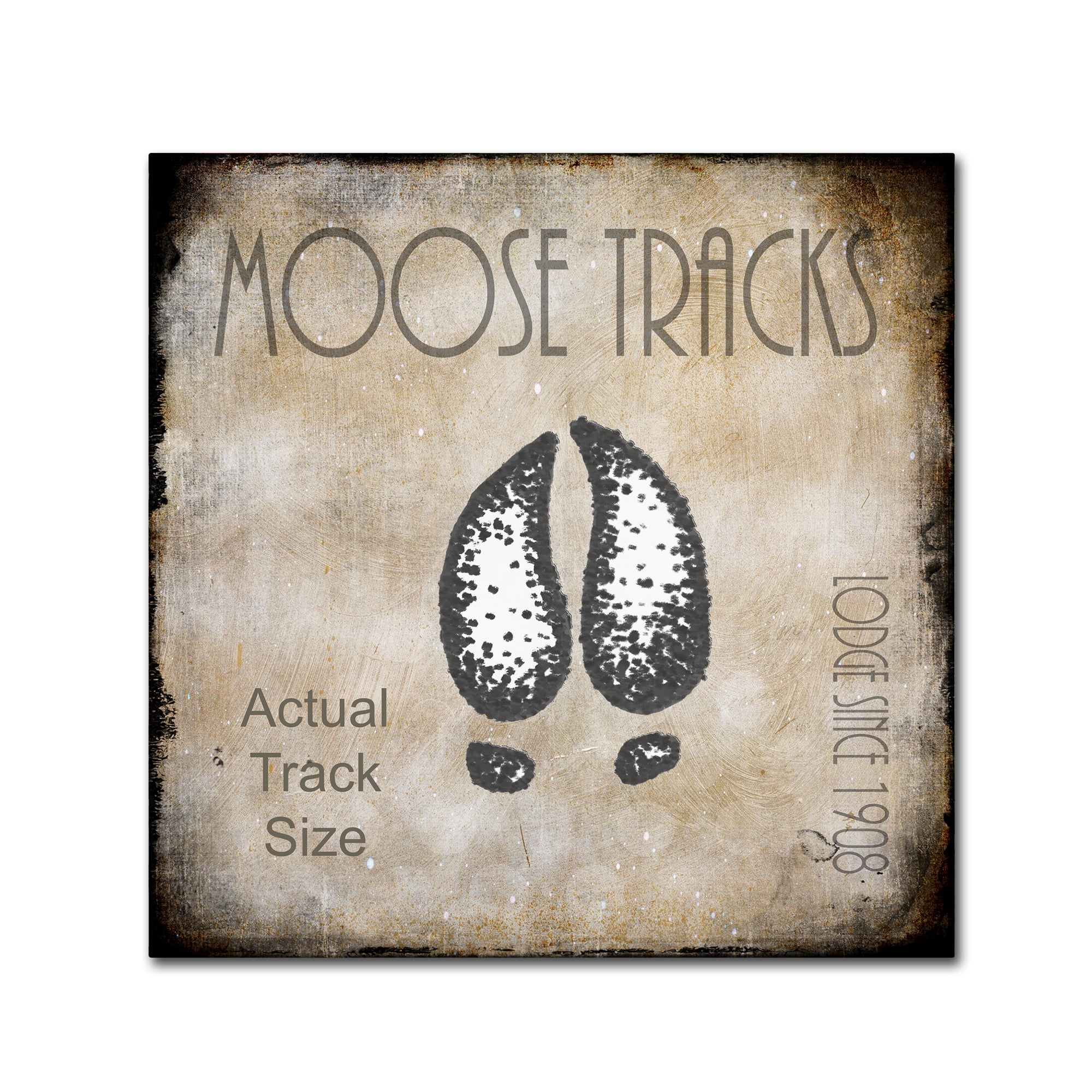 Trademark Fine Art 'Moose Lodge 2 - Moose Tracks 2' Canvas Art by LightBoxJournal