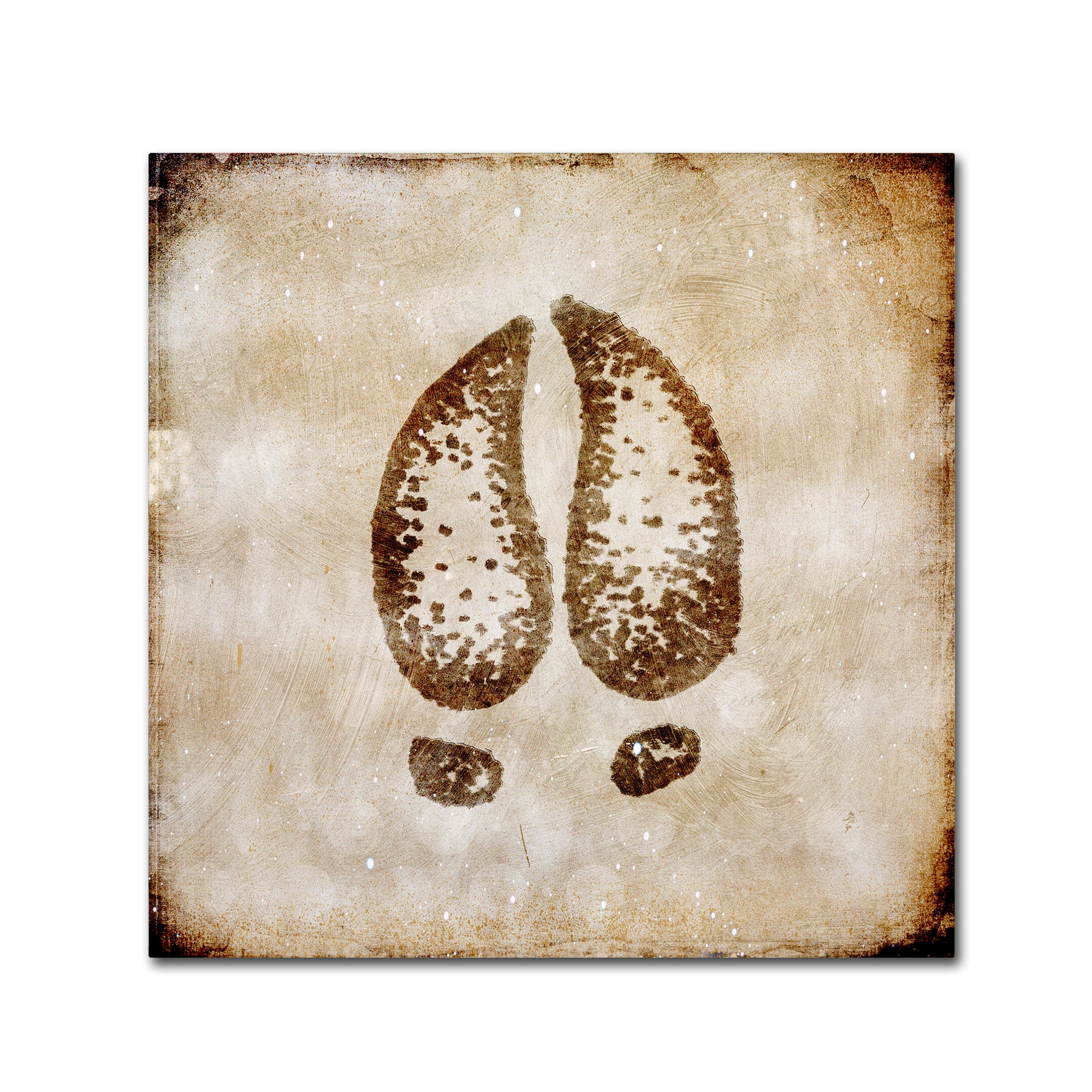 Trademark Fine Art 'Moose Lodge - Moose Track' Canvas Art by LightBoxJournal