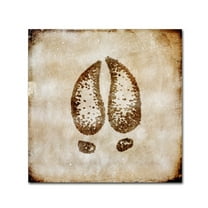 Trademark Fine Art 'Moose Lodge - Moose Track' Canvas Art by LightBoxJournal