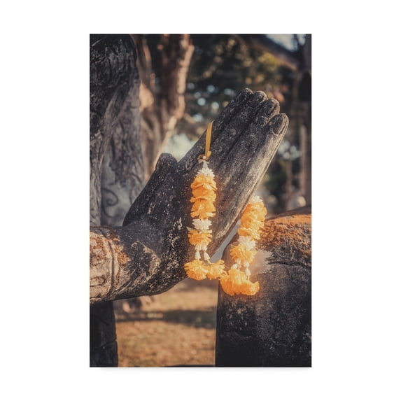 Trademark Fine Art 'More Life' Canvas Art by Philippe Sainte-Laudy