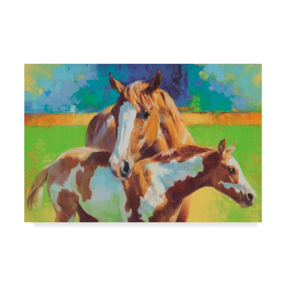 Trademark Fine Art 'Morning Colors' Canvas Art by Julie T. Chapman