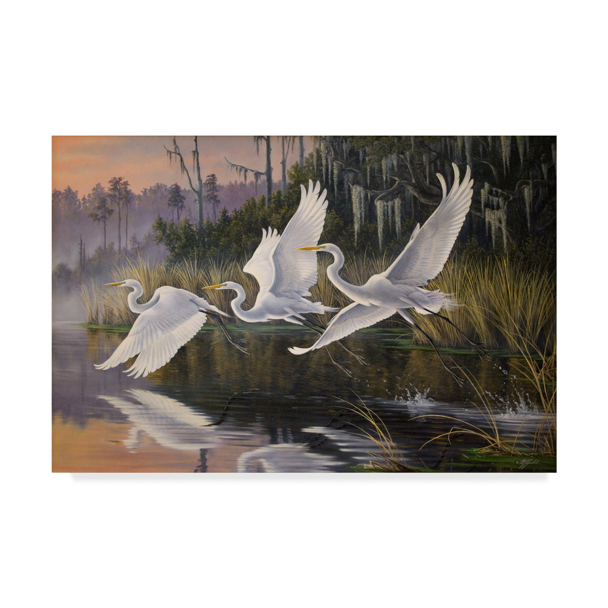 Trademark Fine Art 'Morning Departure Egrets' Canvas Art by Wilhelm Goebel