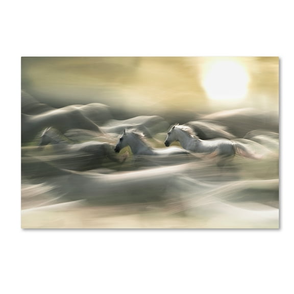 Trademark Fine Art 'Morning Dream' Canvas Art by Milan Malovrh