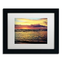 Trademark Fine Art "Morning Glory" Canvas Art by Beata Czyzowska Young, White Matte, Black Frame