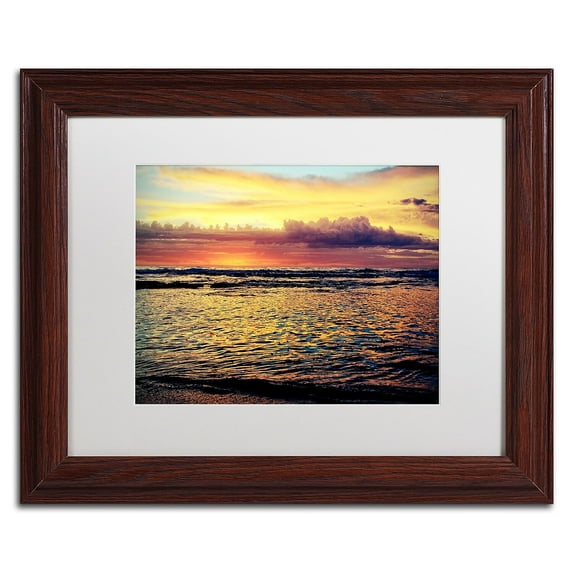 Trademark Fine Art "Morning Glory" Canvas Art by Beata Czyzowska Young, White Matte, Wood Frame