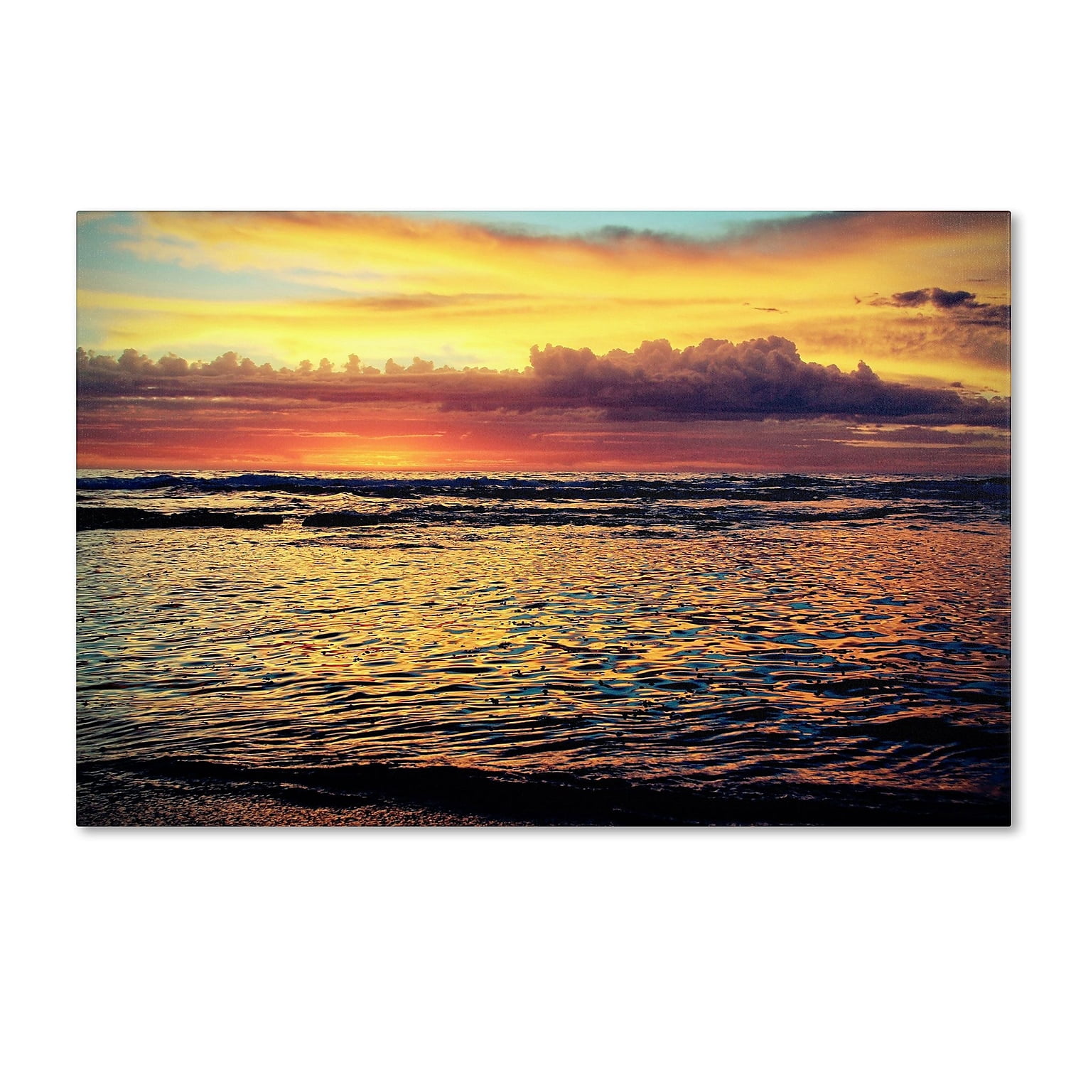 Trademark Fine Art "Morning Glory" Canvas Art by Beata Czyzowska Young