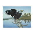 thumbnail image 1 of Trademark Fine Art 'Morning Glory' Canvas Art by Rusty Frentner, 1 of 3