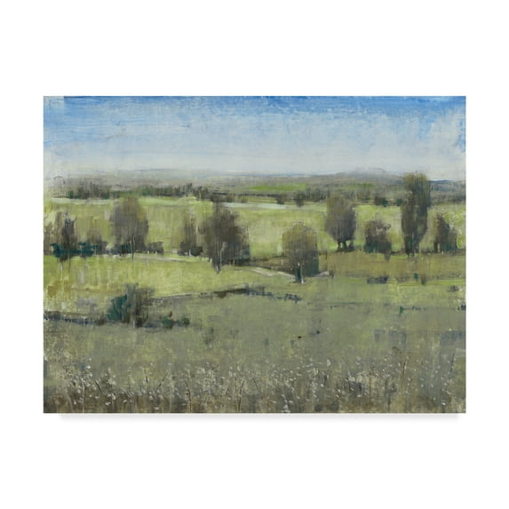 Trademark Fine Art 'Morning Horizon I' Canvas Art by Tim OToole