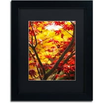 Trademark Fine Art "Morning Jive" Canvas Art by Philippe Sainte-Laudy Black Matte, Black Frame