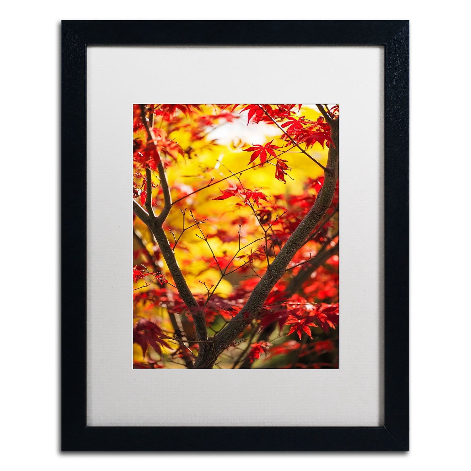 Trademark Fine Art "Morning Jive" Canvas Art by Philippe Sainte-Laudy White Matte, Black Frame