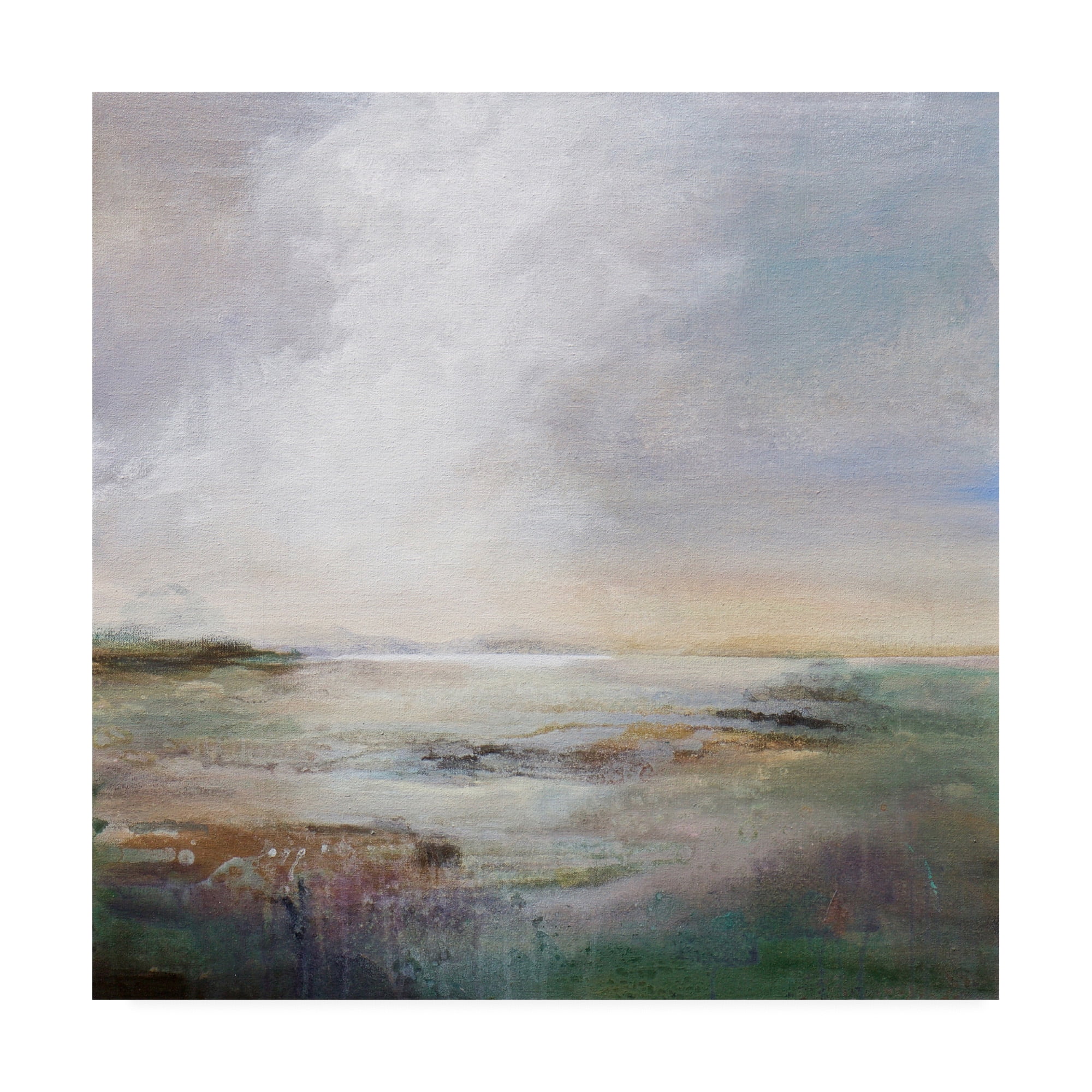 Trademark Fine Art 'Morning Light Abstract' Canvas Art by Karen Hal